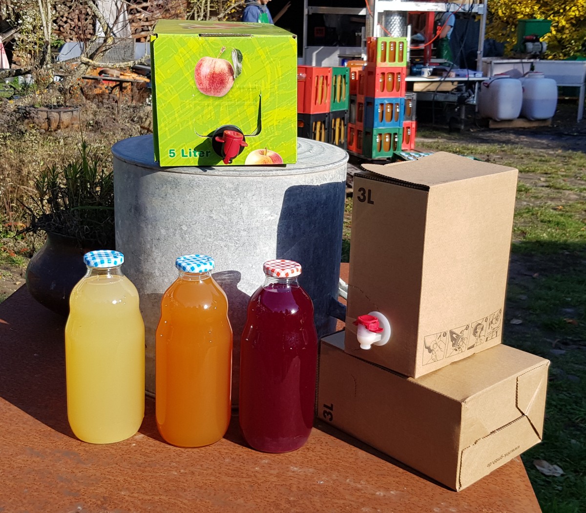 Flaschen mit 3 verschiedenen Säften und 3l, 5l Bag in Box
