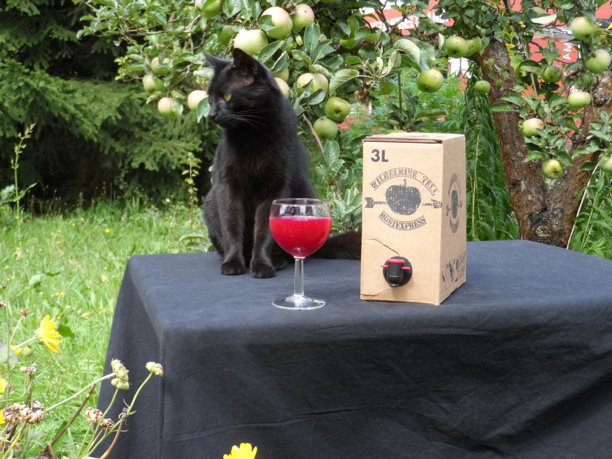 Panta-Lulu vor einem Glas Apfel-Rote-Beete-Saft